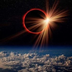 Meet your Posher, Gustavo